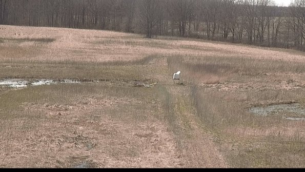 Cell 1 to 2 Monitoring-22-04-12_15-36-15-57