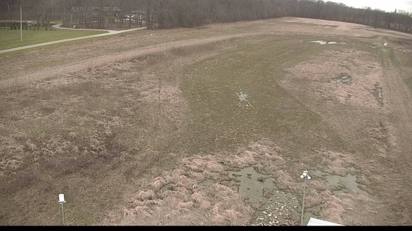 Cell 1-22-04-12_18-42-28-53