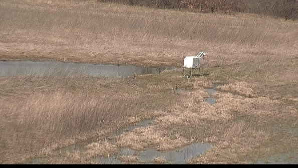 Cell 2 to 3 Monitoring-22-04-12_12-30-16-63