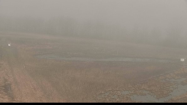 Cell 2-22-04-12_09-23-36-68