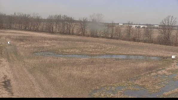 Cell 2-22-04-12_11-27-52-65