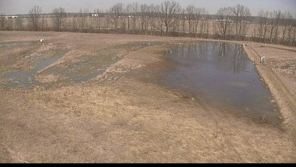 Cell 3-22-04-12_12-30-30-61