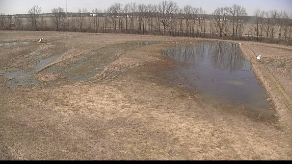 Cell 3-22-04-12_15-36-56-58