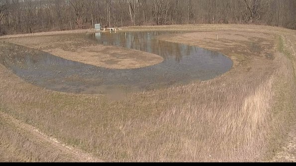 Cell 4-22-04-12_15-37-24-57