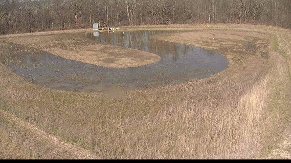 Cell 4-22-04-12_16-39-33-55