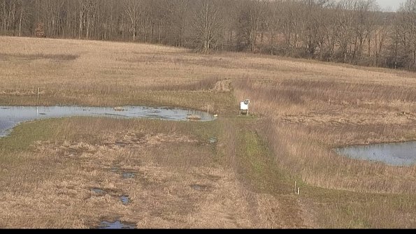 Cell 1 to 2 Monitoring-22-04-14_09-01-47-79