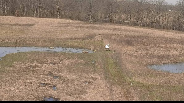 Cell 1 to 2 Monitoring-22-04-14_10-03-55-76