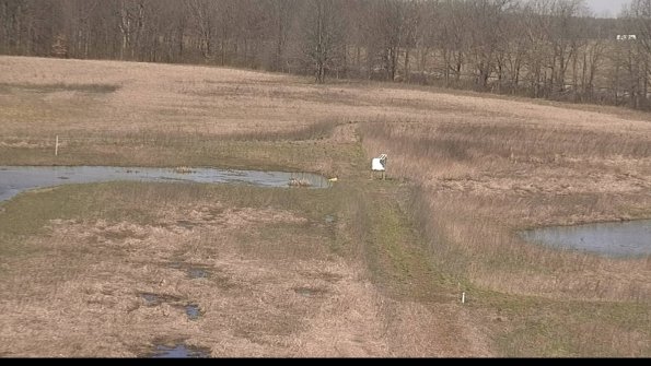 Cell 1 to 2 Monitoring-22-04-14_11-06-04-74