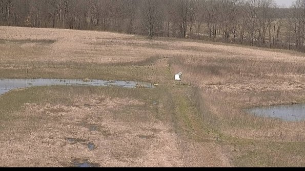 Cell 1 to 2 Monitoring-22-04-14_12-08-12-71