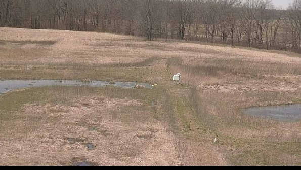 Cell 1 to 2 Monitoring-22-04-14_13-10-20-69