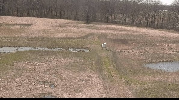 Cell 1 to 2 Monitoring-22-04-14_15-14-38-65