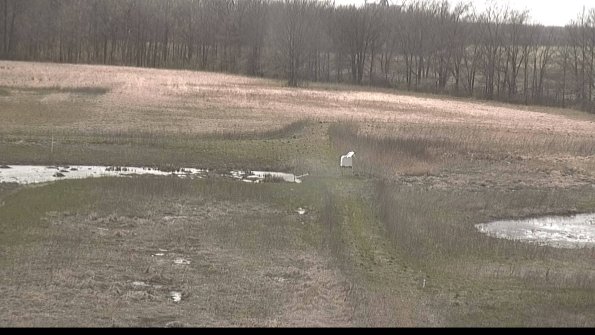 Cell 1 to 2 Monitoring-22-04-14_16-16-46-66