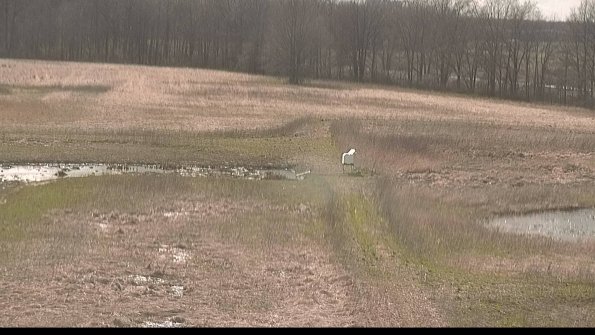 Cell 1 to 2 Monitoring-22-04-14_17-18-53-63