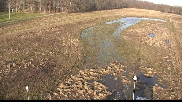 Cell 1-22-04-14_08-15-29-80