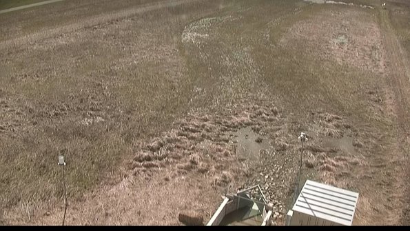 Cell 1-22-04-14_16-16-32-64