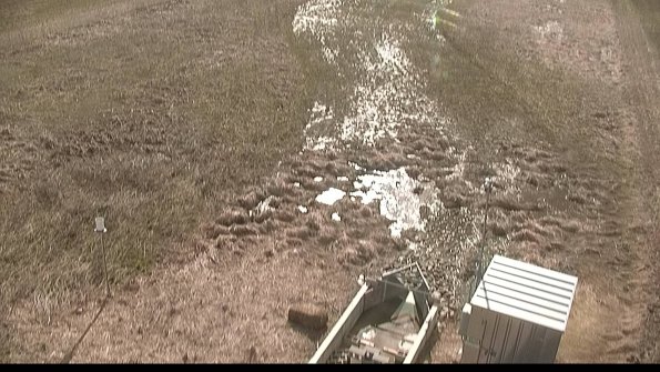 Cell 1-22-04-14_17-18-39-62