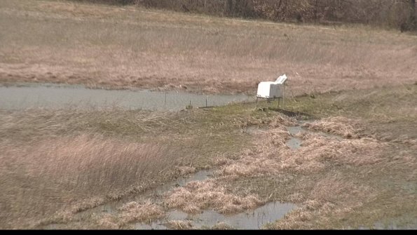 Cell 2 to 3 Monitoring-22-04-14_15-15-05-67