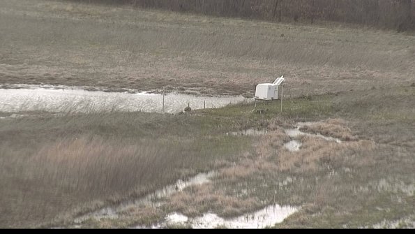 Cell 2 to 3 Monitoring-22-04-14_16-17-13-65