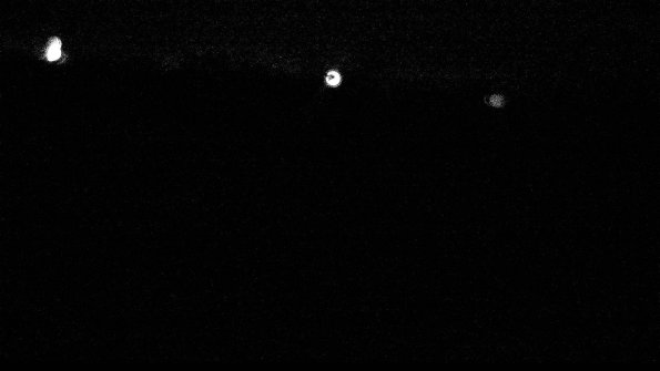 Cell 2-22-04-14_00-44-56-99