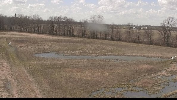 Cell 2-22-04-14_15-14-51-66