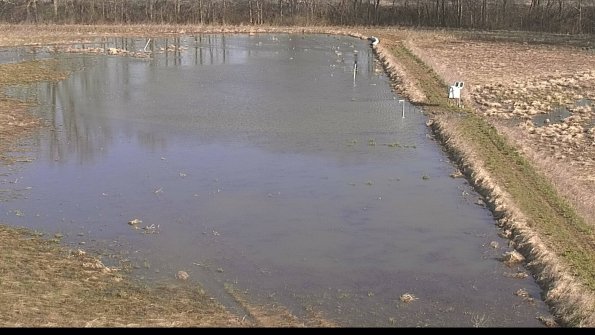 Cell 3 to 4 Monitoring-22-04-14_09-02-42-78