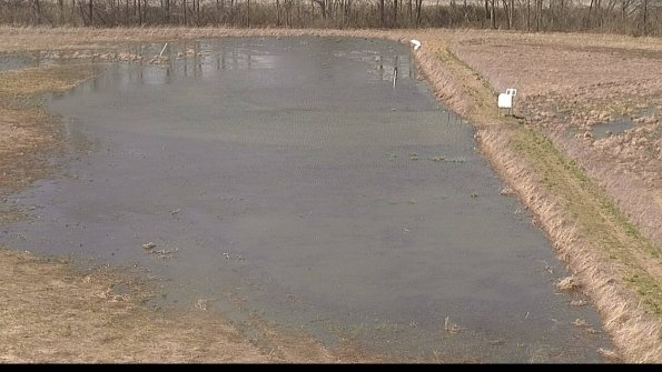 Cell 3 to 4 Monitoring-22-04-14_15-15-33-67