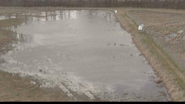 Cell 3 to 4 Monitoring-22-04-14_16-17-41-65