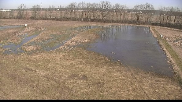 Cell 3-22-04-14_10-04-37-77