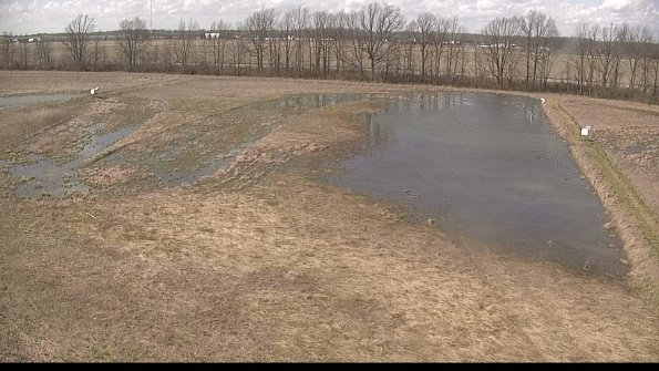 Cell 3-22-04-14_15-15-19-65