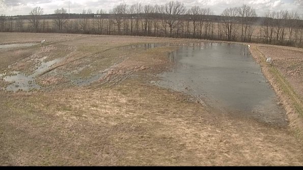 Cell 3-22-04-14_17-19-34-61