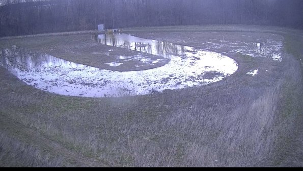 Cell 4-22-04-14_06-58-42-82