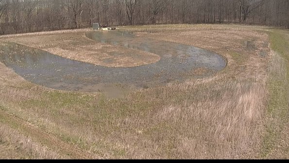 Cell 4-22-04-14_11-07-13-74