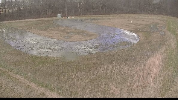 Cell 4-22-04-14_16-17-54-63