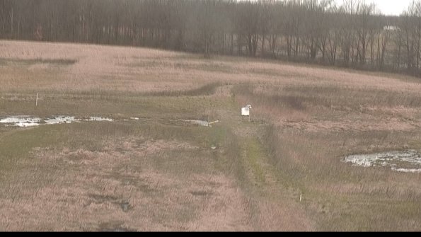 Cell 1 to 2 Monitoring-22-04-15_08-51-01-25