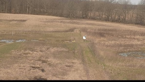 Cell 1 to 2 Monitoring-22-04-15_09-53-09-22