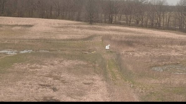 Cell 1 to 2 Monitoring-22-04-15_12-59-34-19