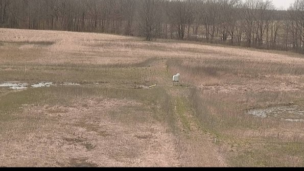 Cell 1 to 2 Monitoring-22-04-15_14-01-43-17