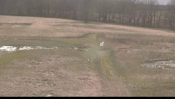 Cell 1 to 2 Monitoring-22-04-15_18-10-15-08