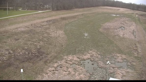 Cell 1-22-04-15_07-48-38-29