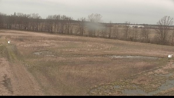 Cell 2-22-04-15_11-57-39-19