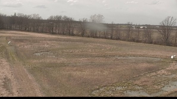 Cell 2-22-04-15_15-04-05-16