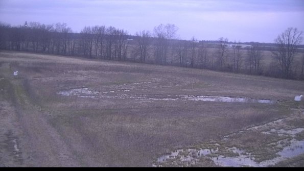 Cell 2-22-04-15_20-14-44-05