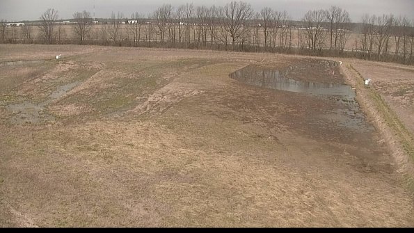 Cell 3-22-04-15_13-00-16-19