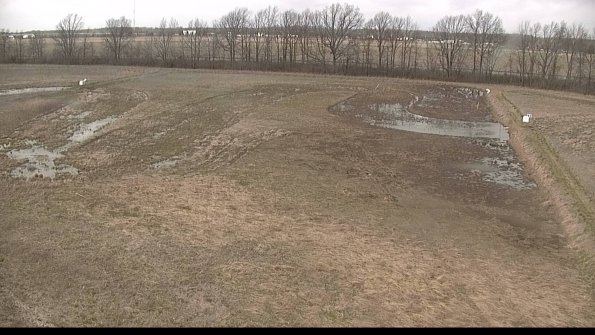 Cell 3-22-04-15_15-04-33-15