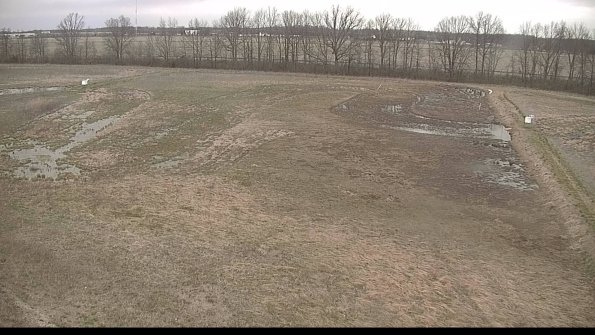 Cell 3-22-04-15_19-13-04-07