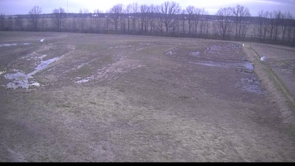 Cell 3-22-04-15_20-15-13-04