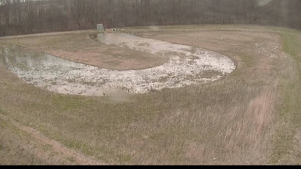 Cell 4-22-04-15_08-52-10-25