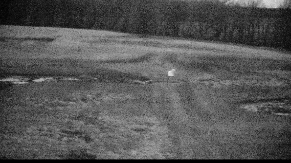 Cell 1 to 2 Monitoring-22-04-16_06-35-53-81