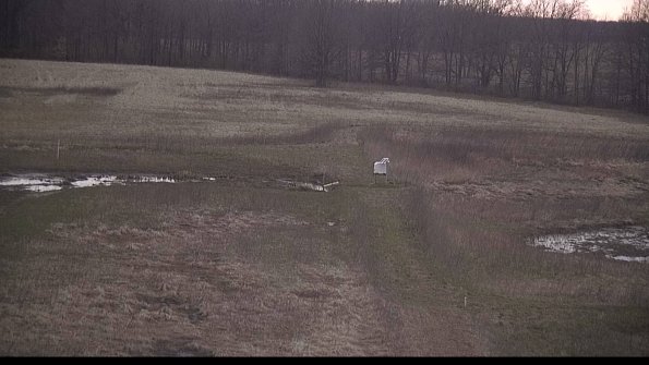 Cell 1 to 2 Monitoring-22-04-16_07-22-32-78