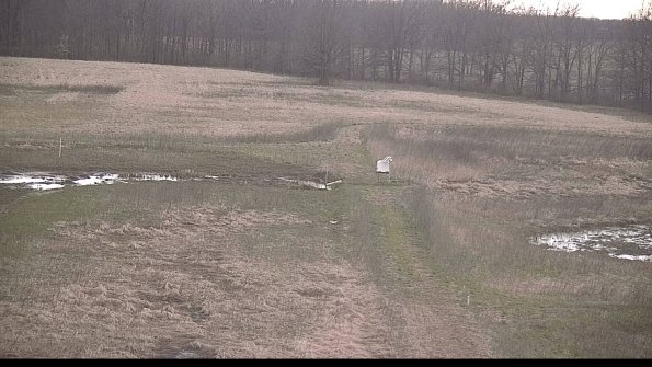 Cell 1 to 2 Monitoring-22-04-16_07-38-02-77